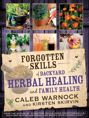 cover image of Forgotten Skills